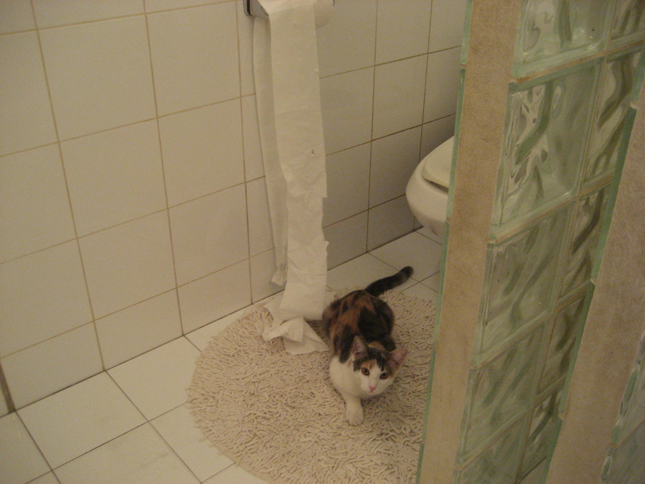 史上最年轻的“欧洲最佳射手”首次亮相欧冠，欧洲最年轻mvp